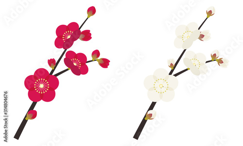 梅　うめ　枝　花