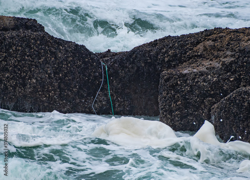 Marine garbage (ropes) on Pacific coastline rocks