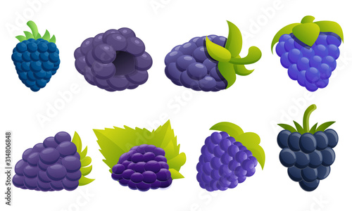 Blackberry icons set. Cartoon set of blackberry vector icons for web design