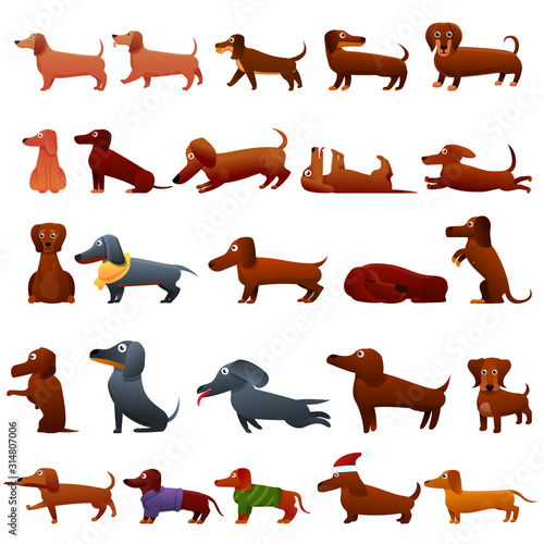 Dachshund icons set. Cartoon set of dachshund vector icons for web design
