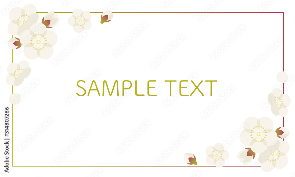 梅　うめ　フレーム　花