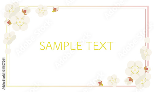 梅　うめ　フレーム　花