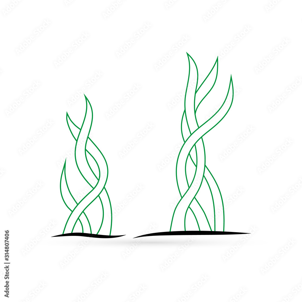 Outline underwater grass, seaweed icon set isolated on white. Sketch kids hand drawing wector ...