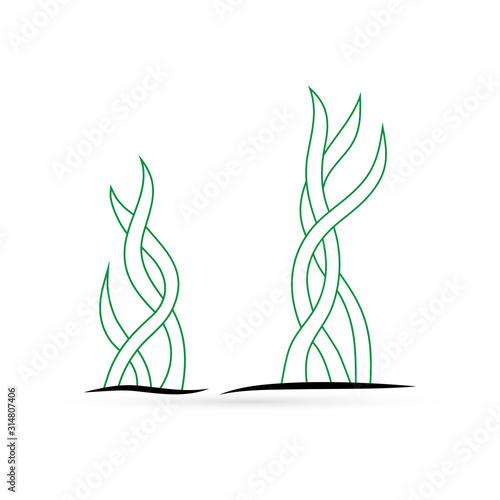 Outline underwater grass, seaweed icon set isolated on white. Sketch kids hand drawing wector illustration. Vector stock illustration photo