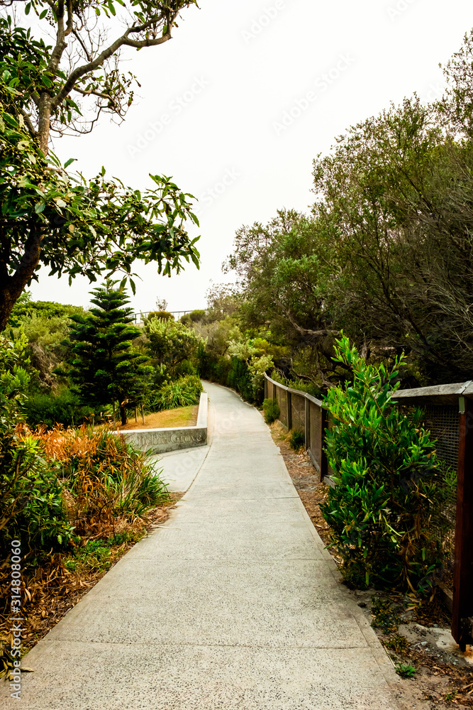 Concrete forest walking path to the Gap ocean cliff at the Watsons Bay of Sydney