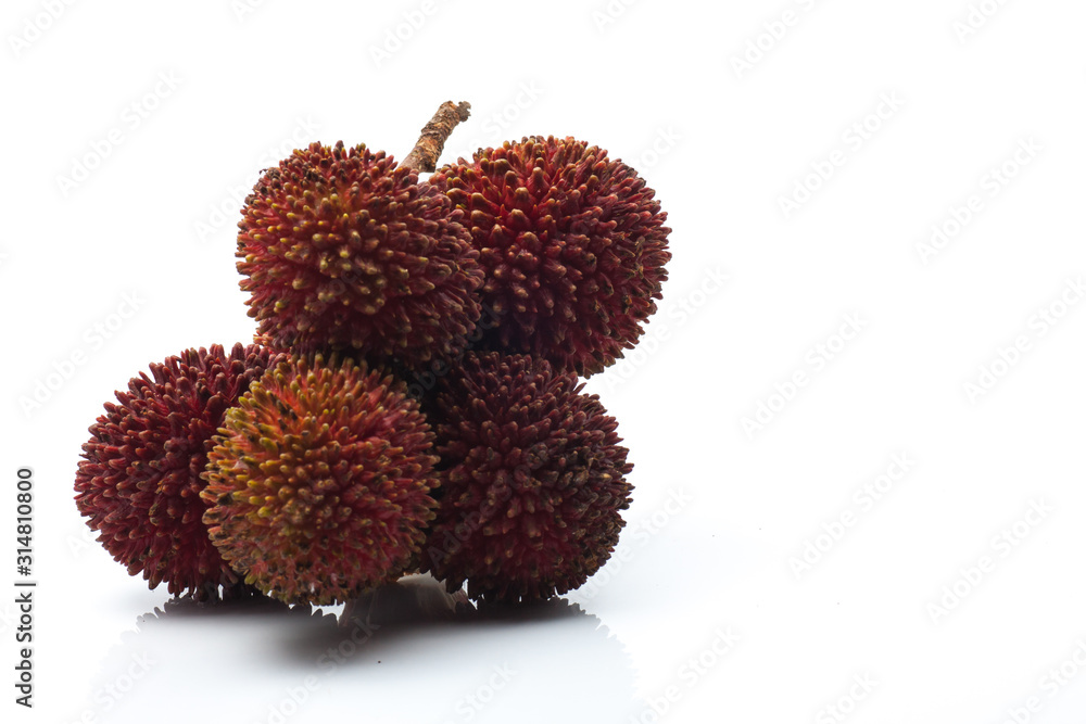 Pulasan or wild rambutan on isolated background Pulasan or wild rambutan on isolated background