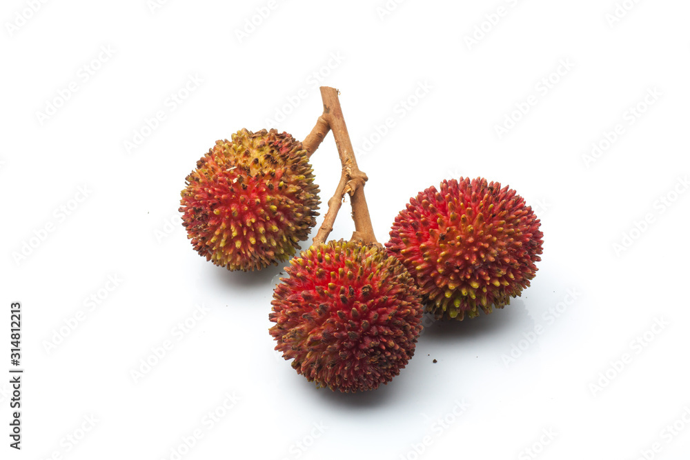 Pulasan or wild rambutan on isolated background Pulasan or wild rambutan on isolated background