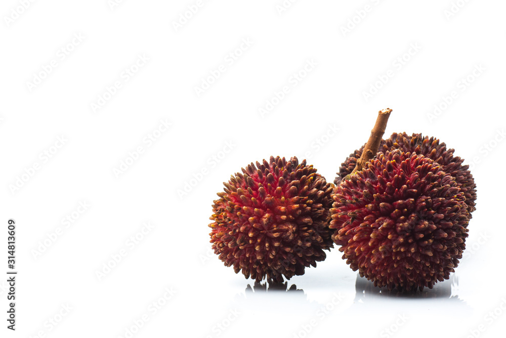 Pulasan or wild rambutan on isolated background Pulasan or wild rambutan on isolated background
