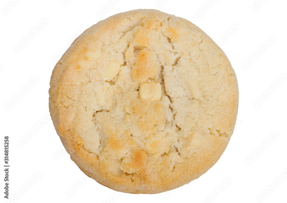 White chocolate biscuit cookie on white background. White chocolate biscuit cookie on white background.