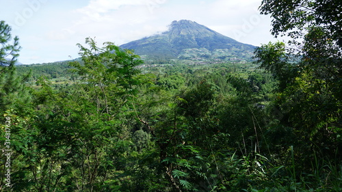 Beautiful mountains and green forests