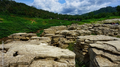 Beautiful stone in the nature near the forest
