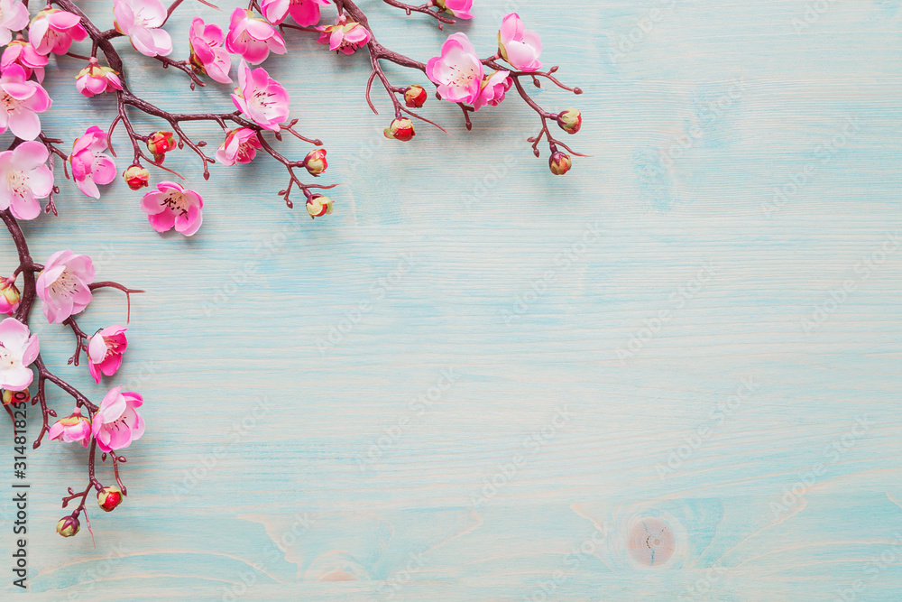 Fototapeta Pink flowers on blue wooden background