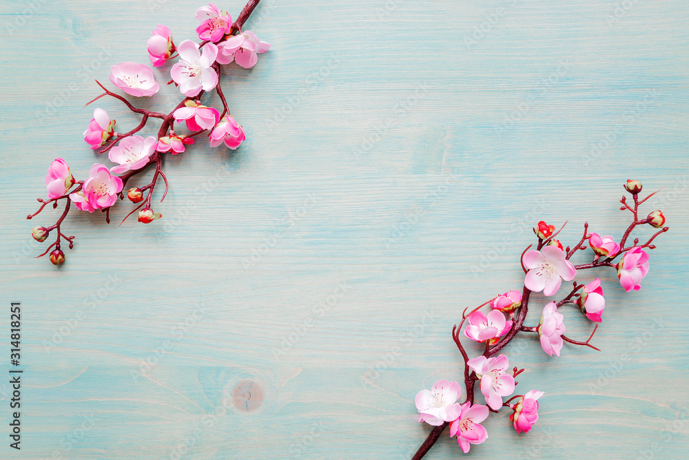 Fototapeta Różowe kwiaty wiśni na niebieskim drewnianym tle