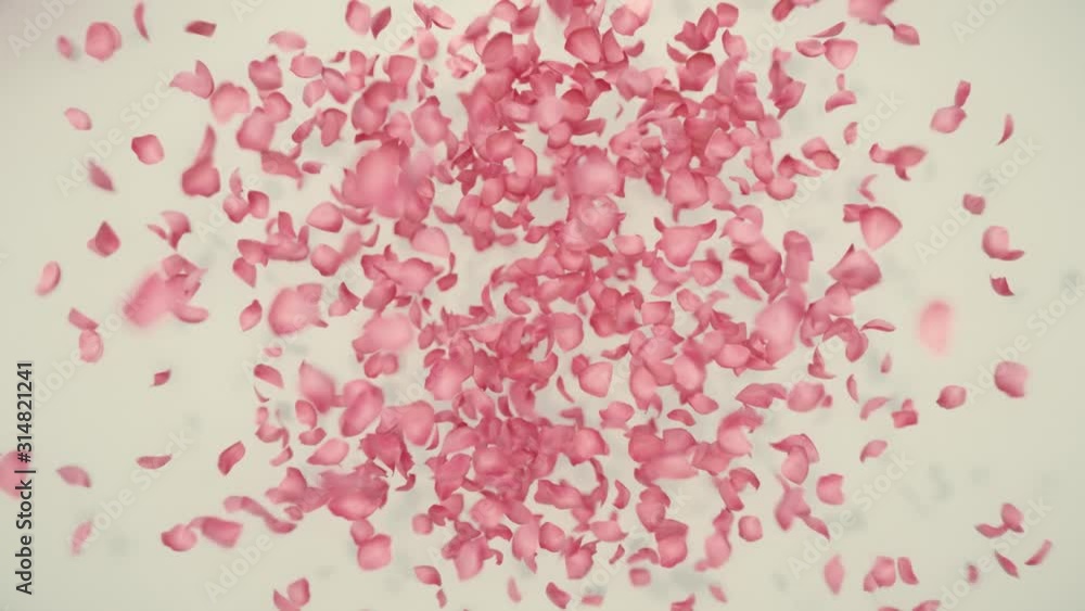Heart Love Flying Petals with alpha matte. Heart Love Flying Petals with alpha matte.
