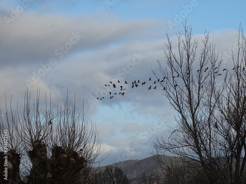 torrijo del campo teruel aragon españa