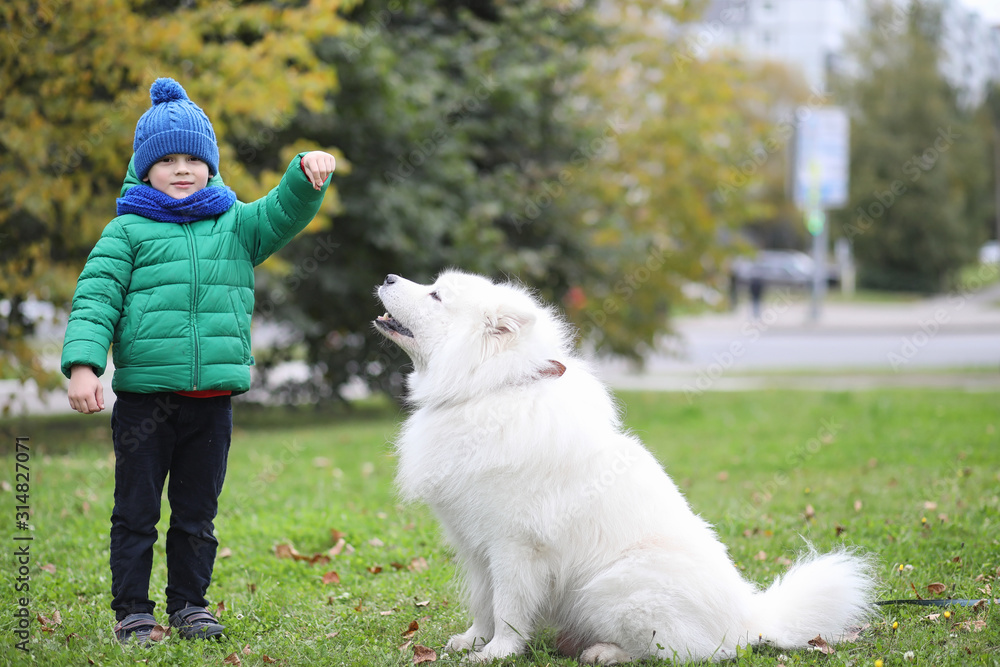 Lovely girl on a walk with a beautiful dog Lovely girl on a walk with a beautiful dog