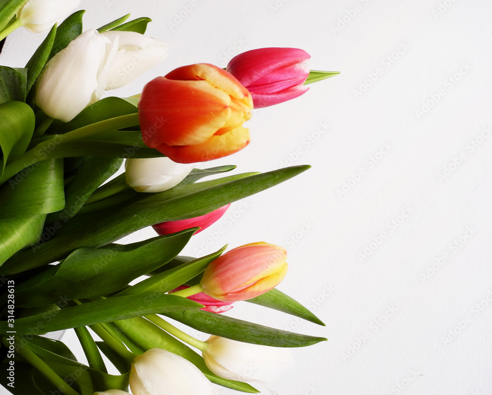 Bouquet of tulips on a light background Bouquet of tulips on a light background