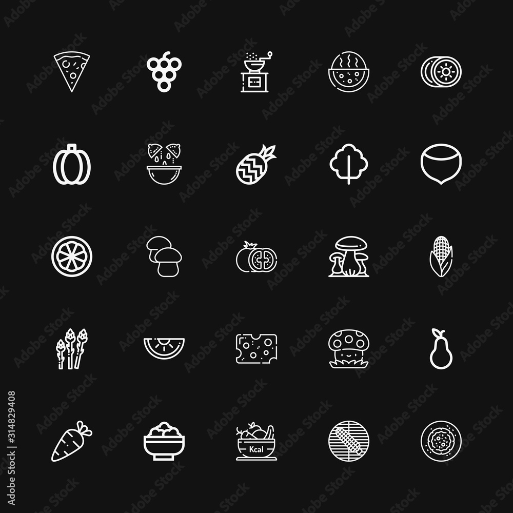 Editable 25 vegetarian icons for web and mobile