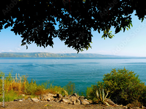 Fototapeta Naklejka Na Ścianę i Meble -  Green Blue Landscape in Israel