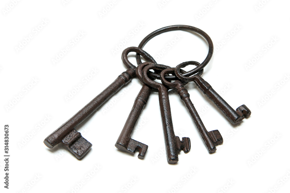 The bunch of old rusty keys in different sizes isolated on a white background. The bunch of old rusty keys in different sizes isolated on a white background.
