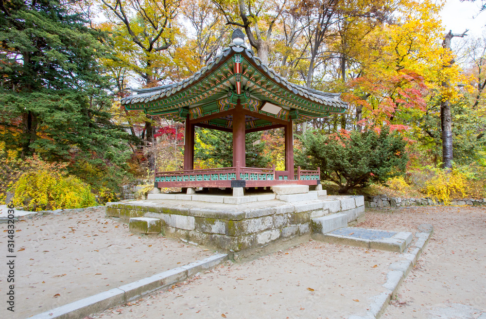 Autumn season in Garden of Changdeokgung Palace South Korea Autumn season in Garden of Changdeokgung Palace South Korea