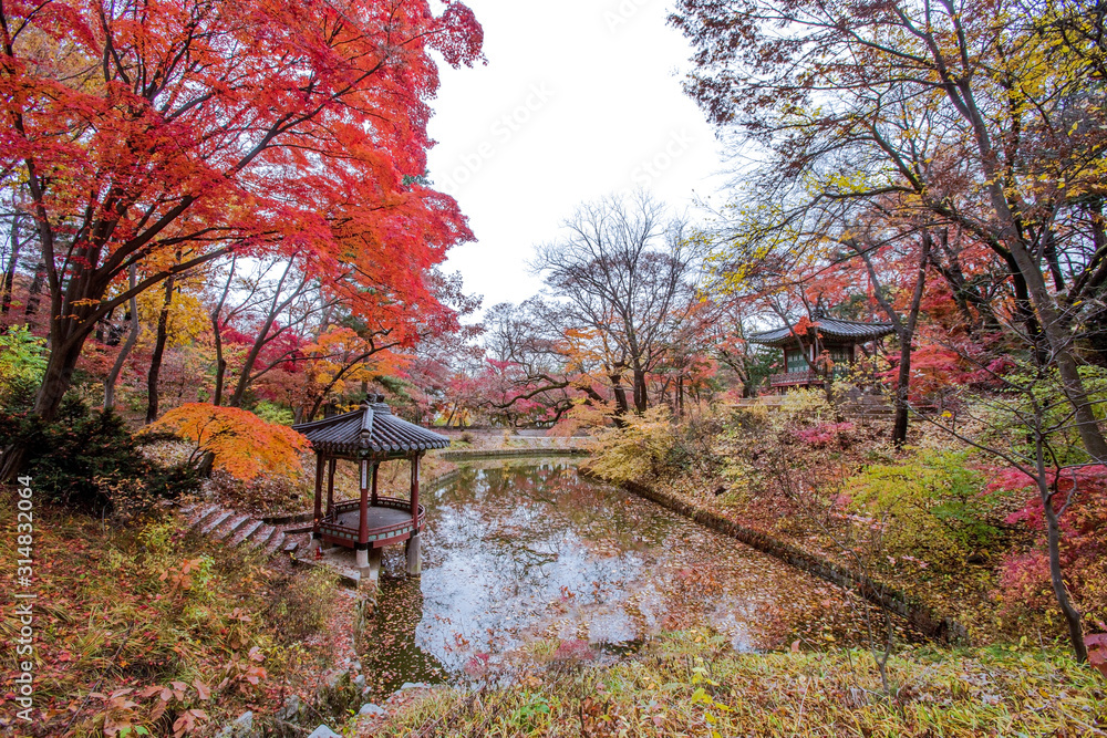 Autumn season  Garden of Changdeokgung Palace, South Kore