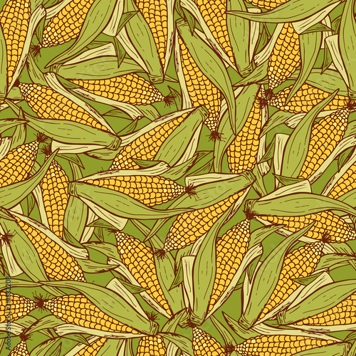 Vector Vegetable background. Hand drawn doodle Corn cobs Seamless pattern