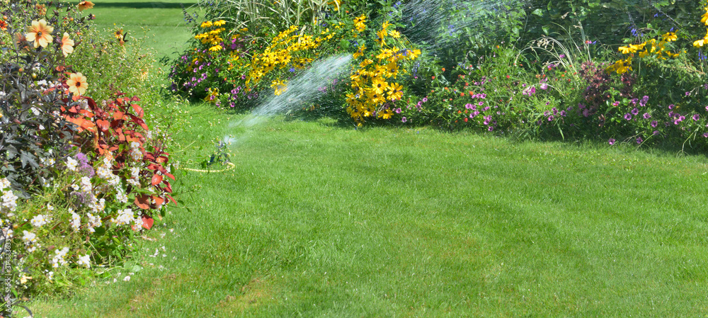 sprinkler in the lawn watering flowers in a beautiful garden in summer - obrazy, fototapety, plakaty 