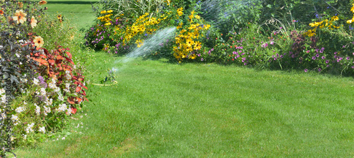 sprinkler in the lawn watering flowers in a beautiful garden in summer