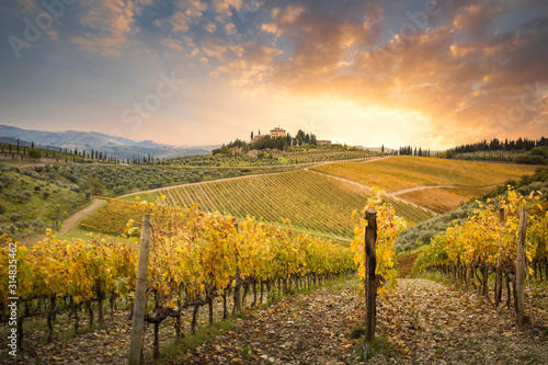Sunset in Gaiole in Chianti with Chianti vineyards. Gaiole in Chianti, Tuscany, Italy. photo