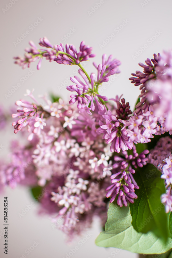 Macro image of Lilac flowers. Abstract floral background.