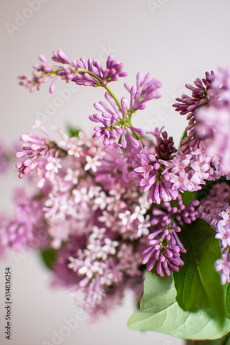 Macro image of Lilac flowers. Abstract floral background.