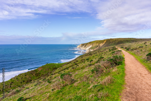 View of the Pacific Ocean coastline, with green grass covering cliffs and bluffs, on a sunny day, Point Reyes National Seashore, California