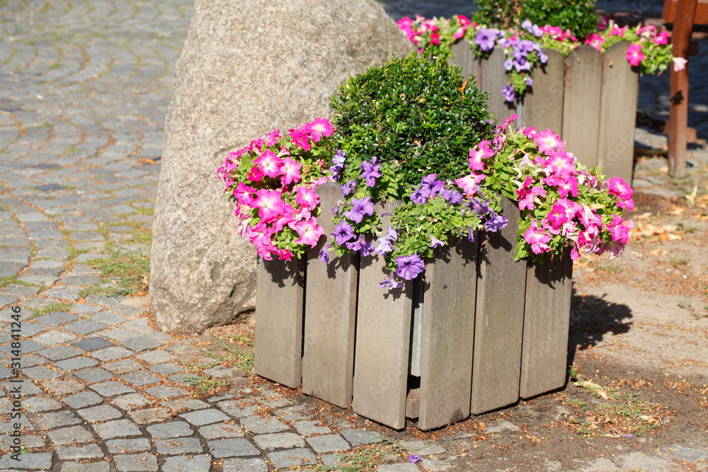 Blumenkasten aus Holz mit Primeln auf dem Bürgersteig stehend Stock Photo |  Adobe Stock