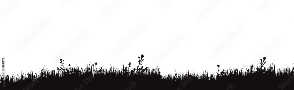 Vector silhouette of meadow on white background. Symbol of nature with grass. - obrazy, fototapety, plakaty 