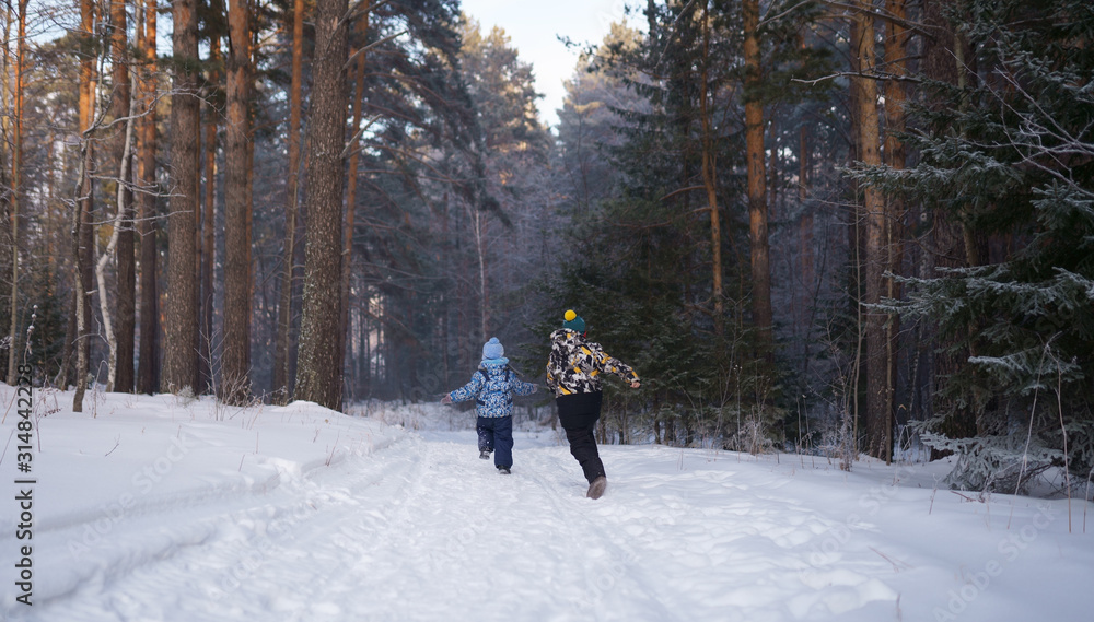 walking in winter forest