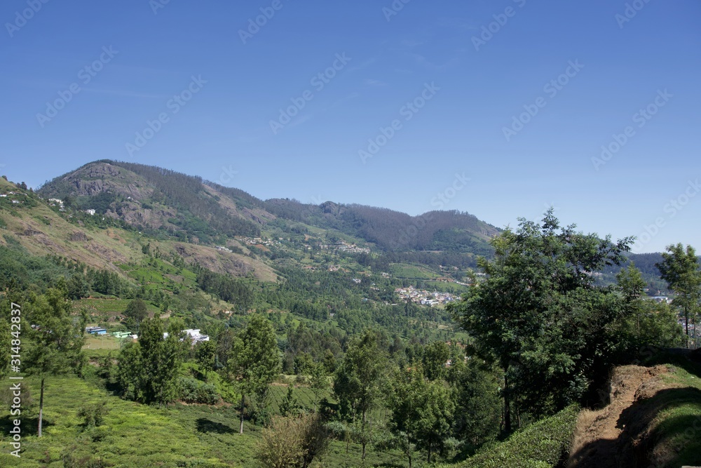 view of mountain with green trees and blue sky view of mountain with green trees and blue sky