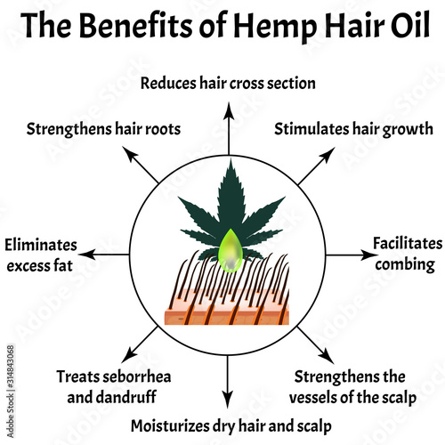 The Benefits of Hemp Hair Oil. Marijuana icons cbd. Cannabinoid logo. Marijuana Leaves. Hemp oil. Infographics. Vector illustration on isolated background.