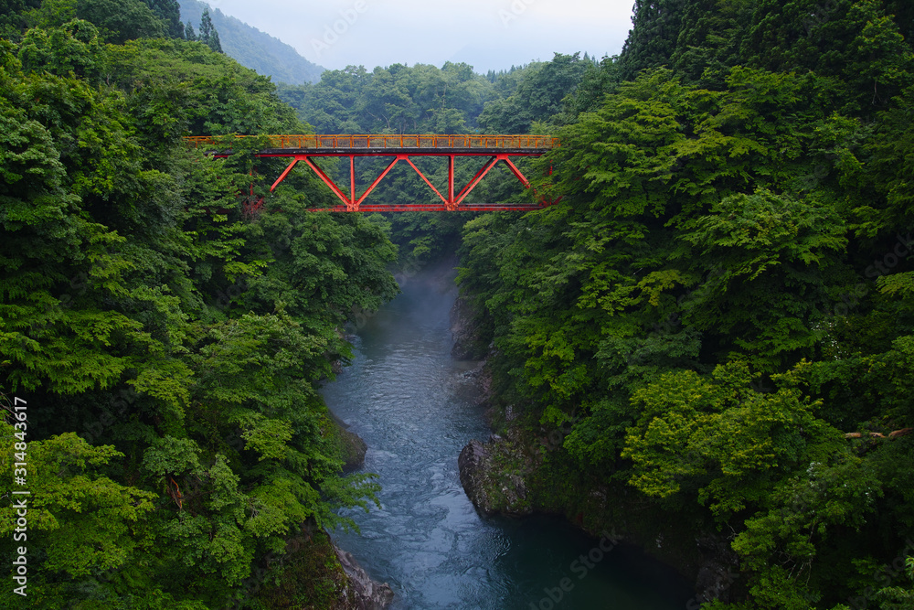 Fototapeta premium 春の渓谷(山形県小国町)