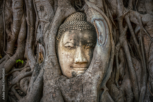 Buddha head trapped in bodhy tree roots in Wat Mahathat Temple, Ayutthaya.  Bangkok province, Thailand © Luciano Mortula-LGM