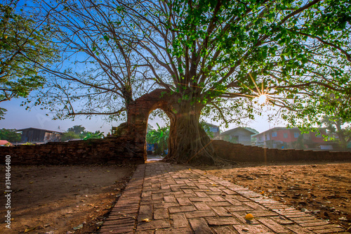 background of big trees that rise inside the archaeological site Wat Phra Ngam Khlong Sa Bua the Gate of Time Phra Ngam tourists from all over the world always come to see the beauty in Ayutthaya