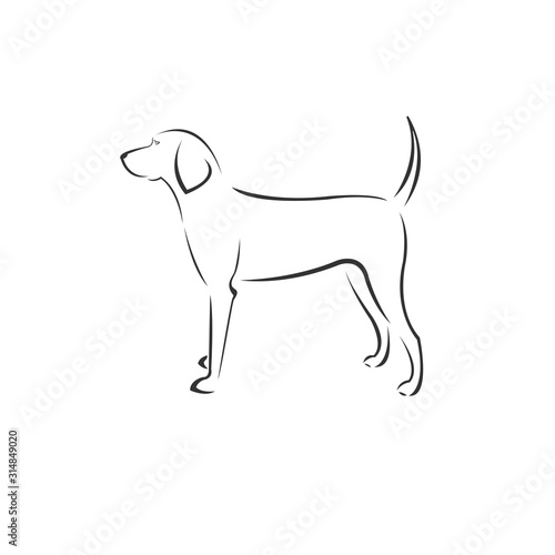 Vector Dog Head Black and White Logo  Sign  Design. symbol. Mammals. Illustrator. on white background