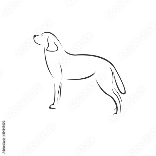 Vector Dog Head Black and White Logo  Sign  Design. symbol. Mammals. Illustrator. on white background