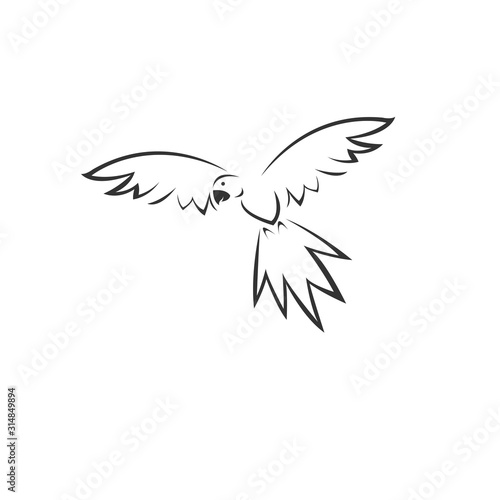 Vector of a parrot icon to animal Black and White Logo, Sign, Design. symbol. Illustrator. on white background