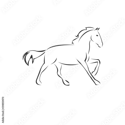 Vector Horse icon to animal Black and White Logo  Sign  Design. symbol. Illustrator. on white background