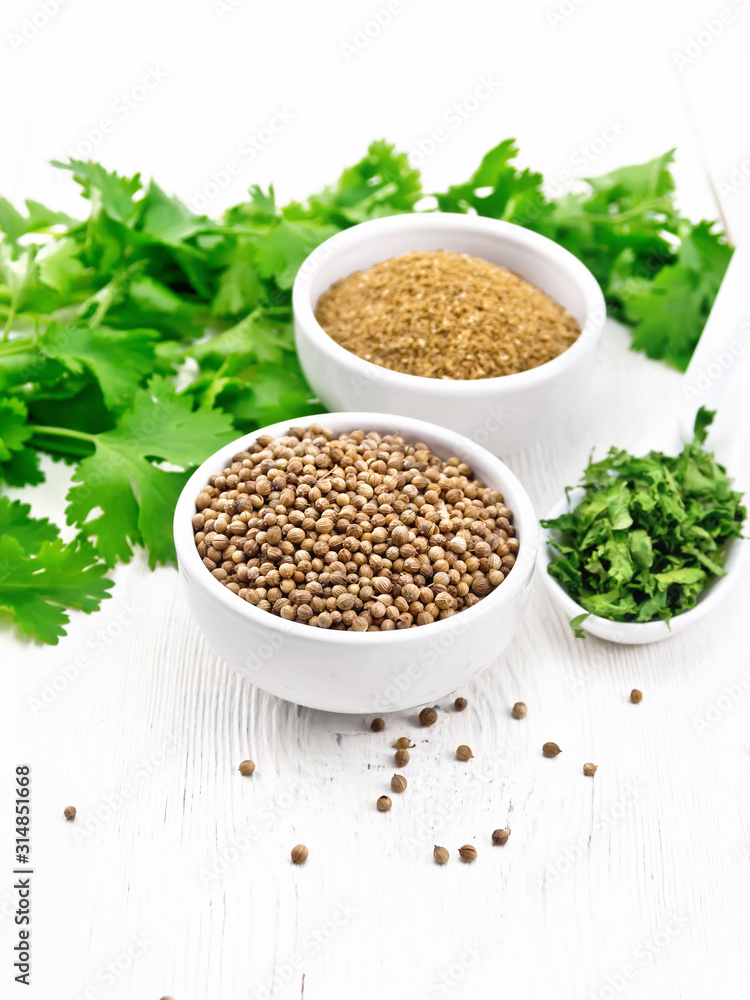 Coriander ground and seeds in bowls on white board Coriander ground and seeds in bowls on white board