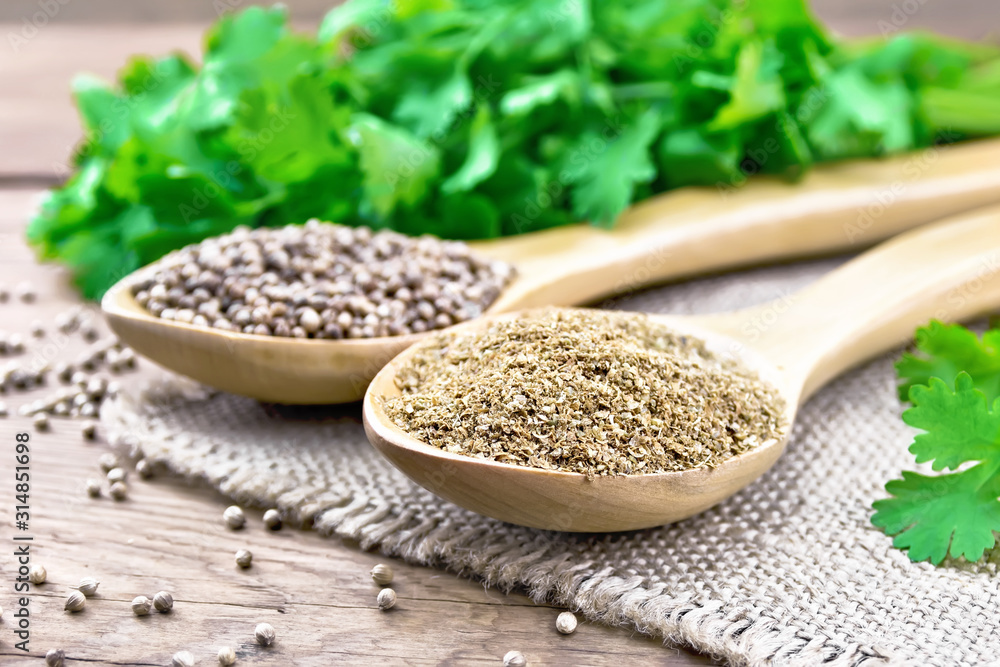 Coriander ground and seeds in two spoons on old board Coriander ground and seeds in two spoons on old board