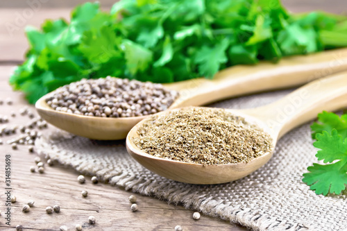 Coriander ground and seeds in two spoons on old board