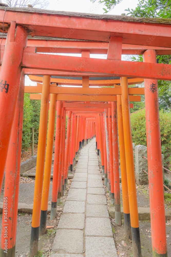 東京都文京区根津にある神社の朱色の千本鳥居