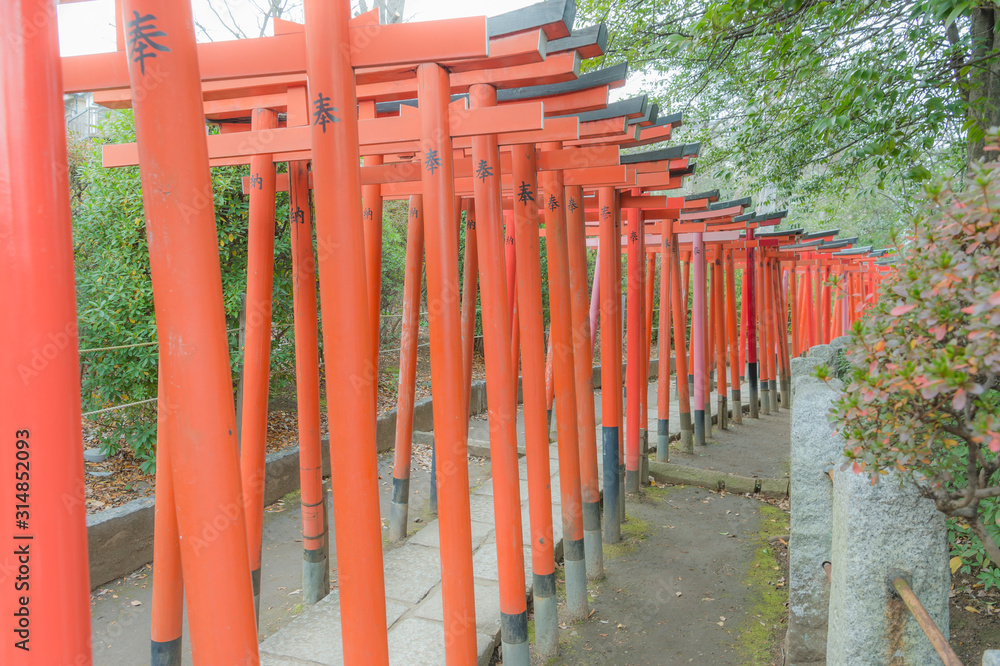 東京都文京区根津にある神社の朱色の千本鳥居